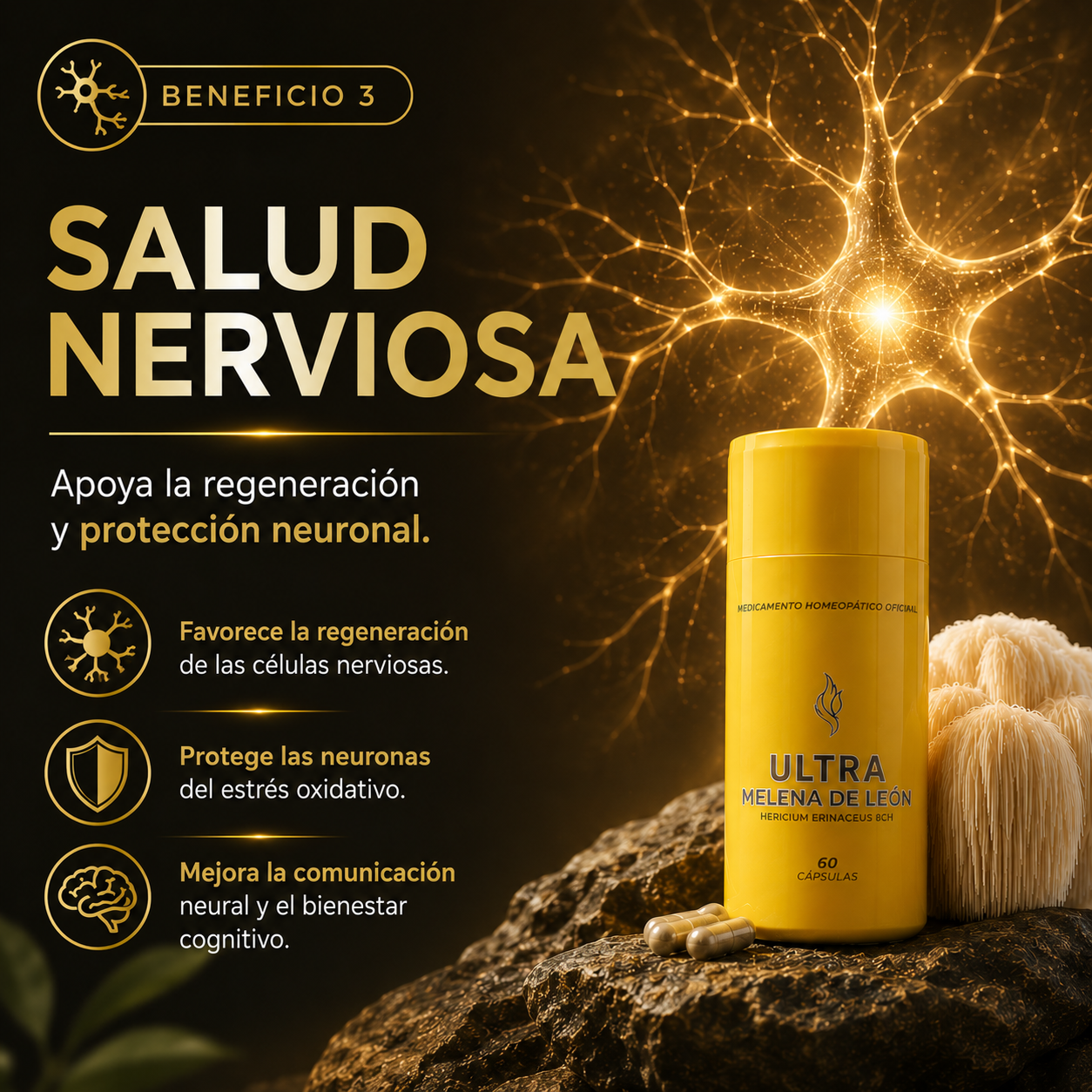 Cápsulas Ultraconcentradas de Melena de León
